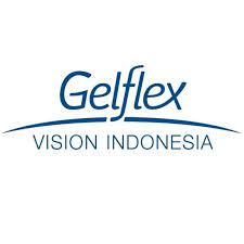 PT. GELFLEX VISION INDONESIA